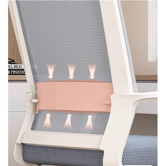 Ergonomic Middle Back Breathable Mesh Office Chair N595