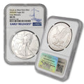 1 oz American Silver Eagle Coin U16441