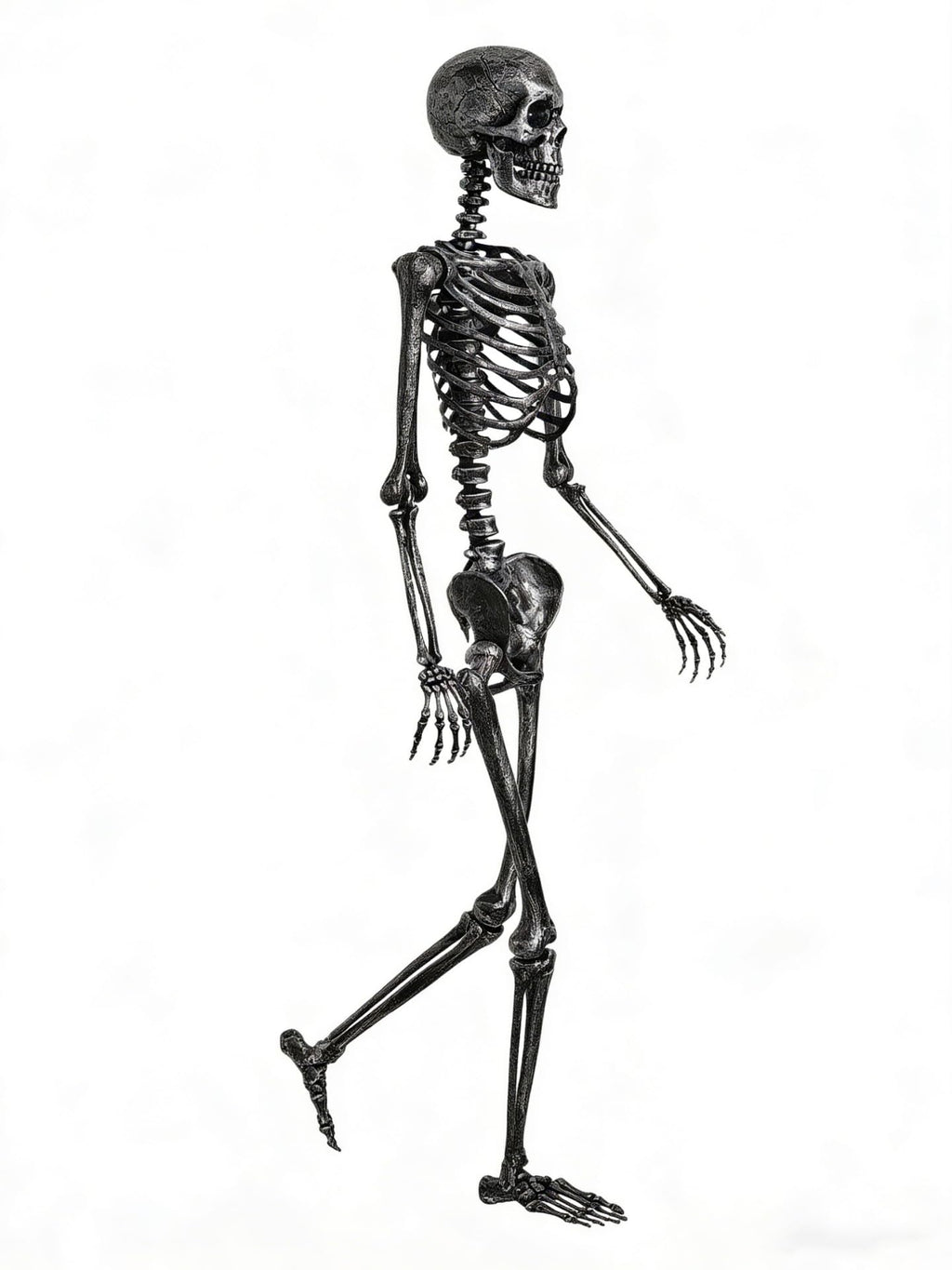 5 FT Posable Black Skeleton Y917