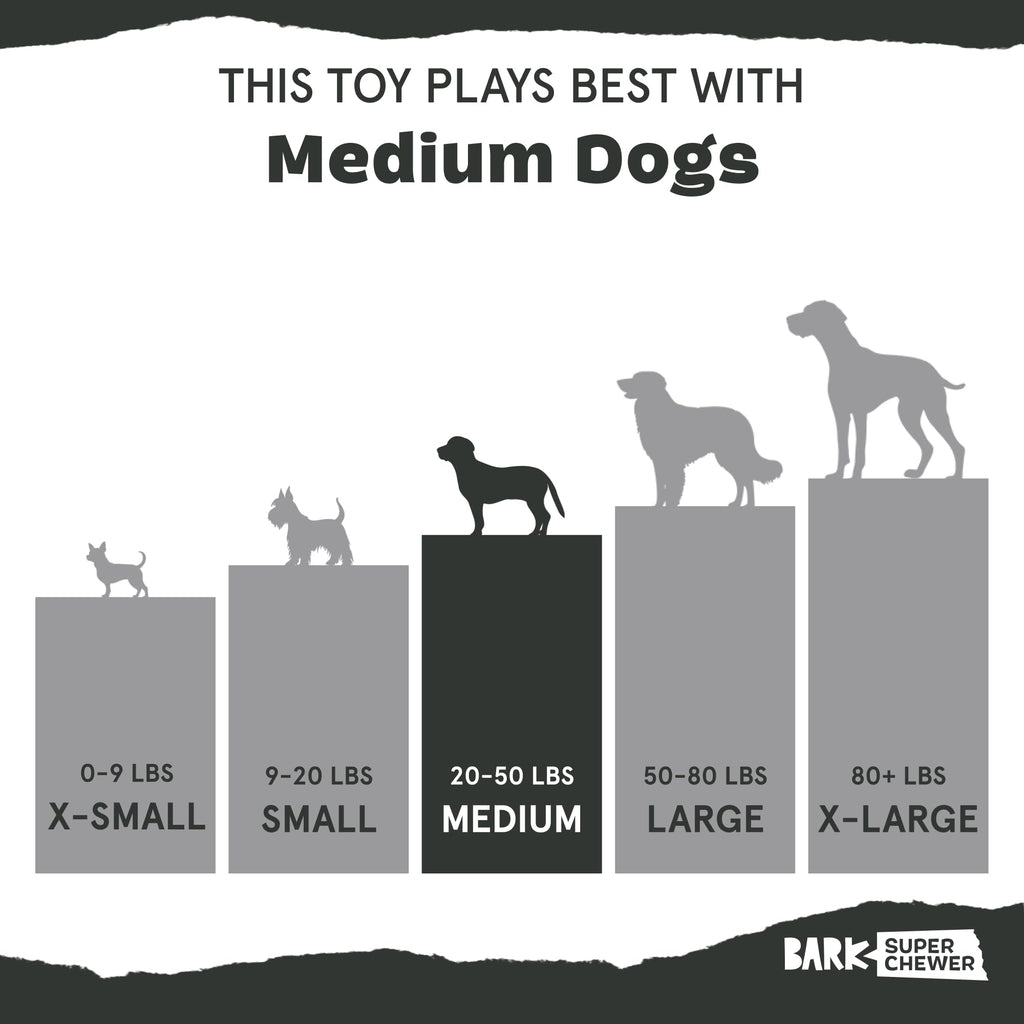 Dog Toy M53375