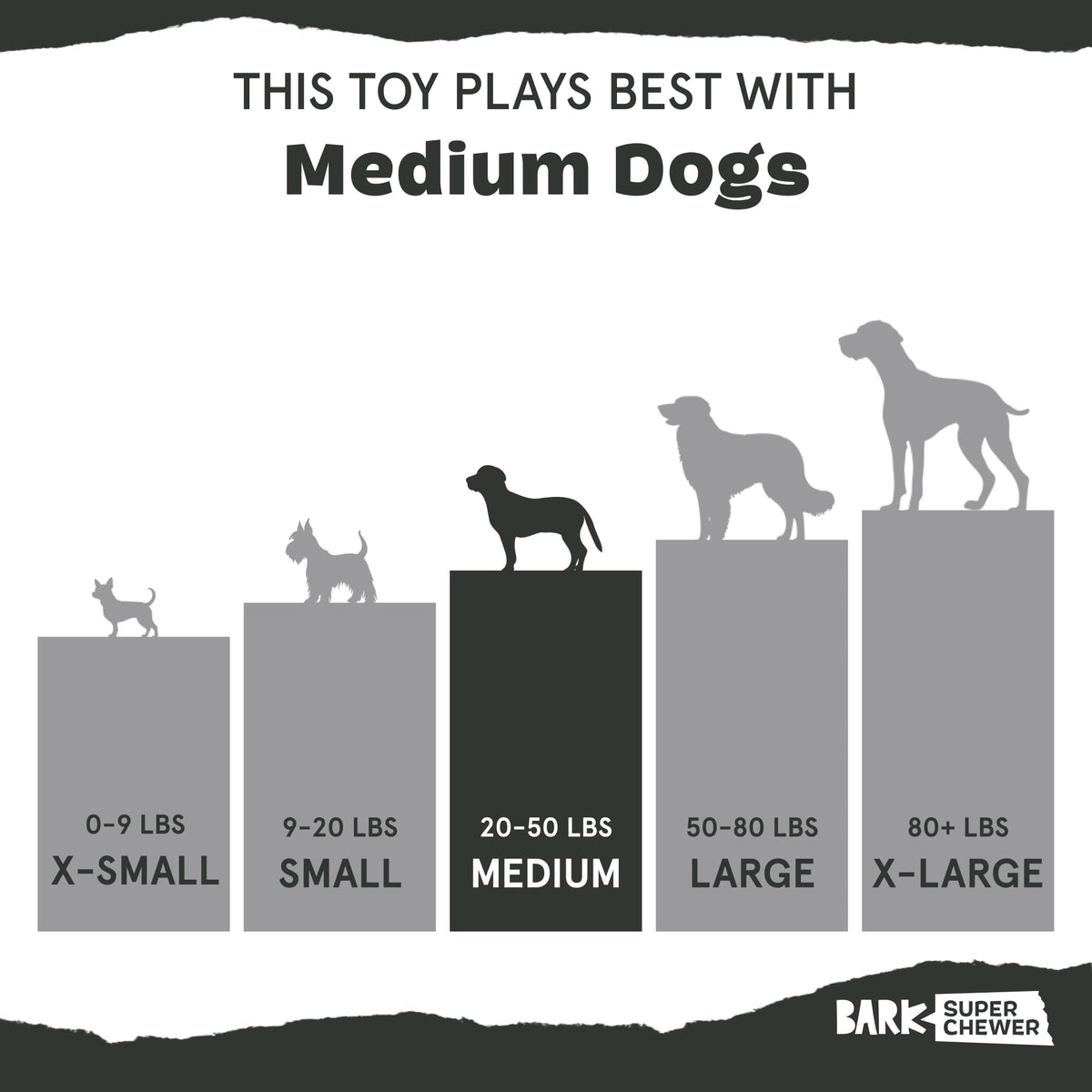 Dog Toy M53375