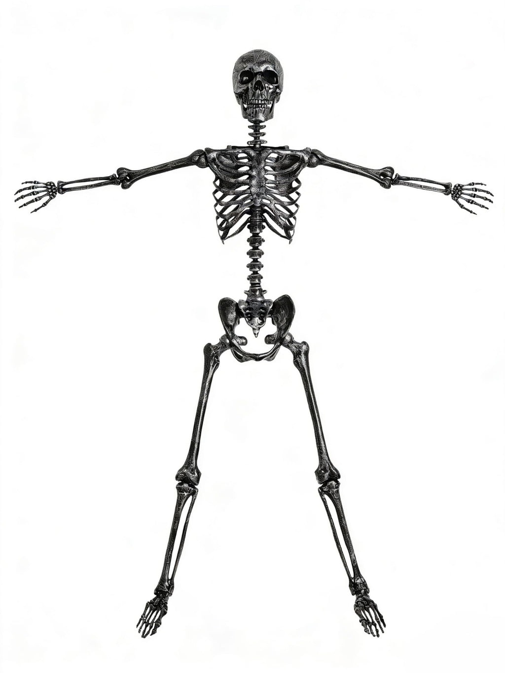 5 FT Posable Black Skeleton Y917