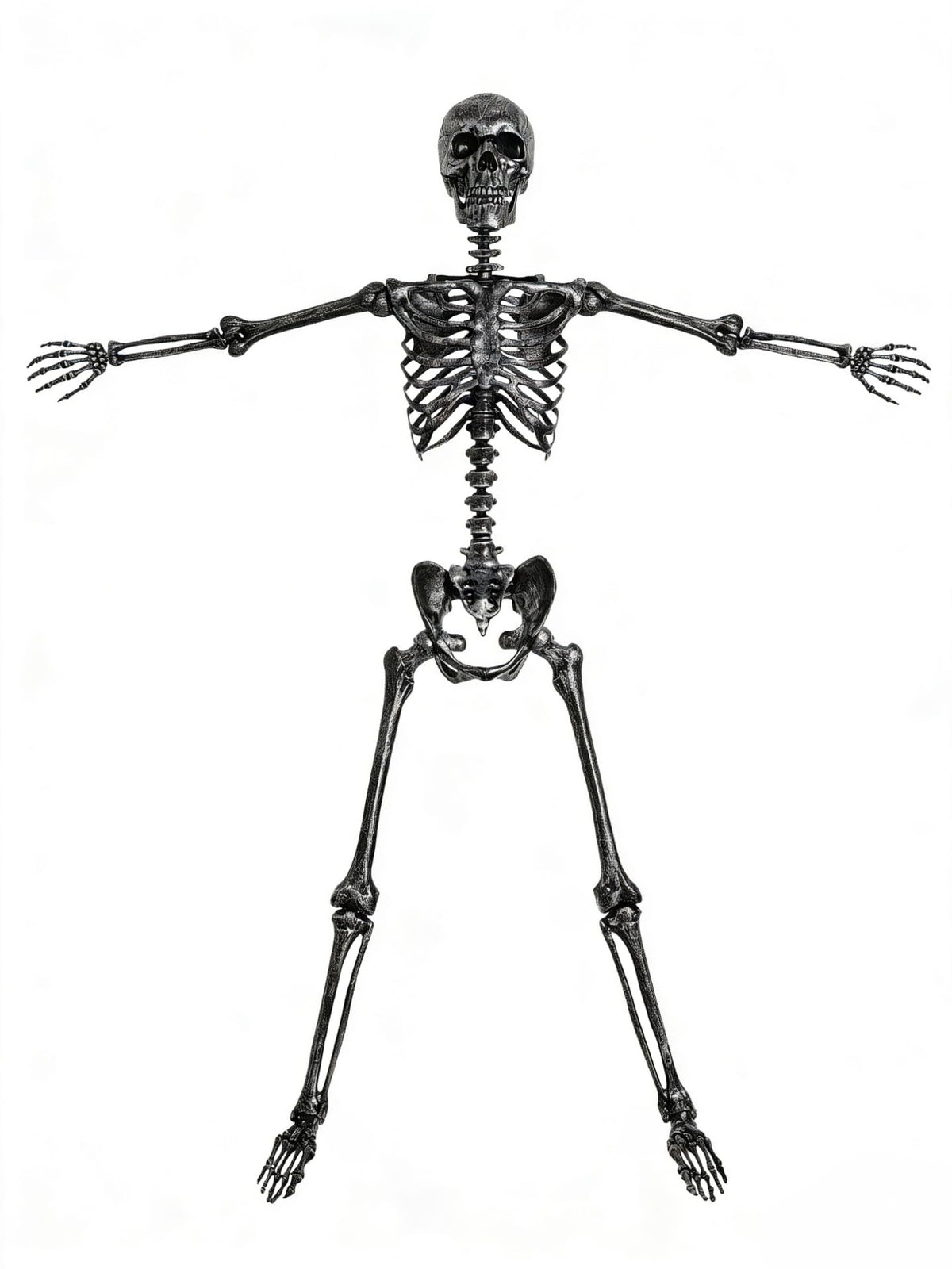 5 FT Posable Black Skeleton Y917