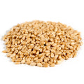 Organic Hard White Wheat Berries, Whole Grain, 25 lb H690589
