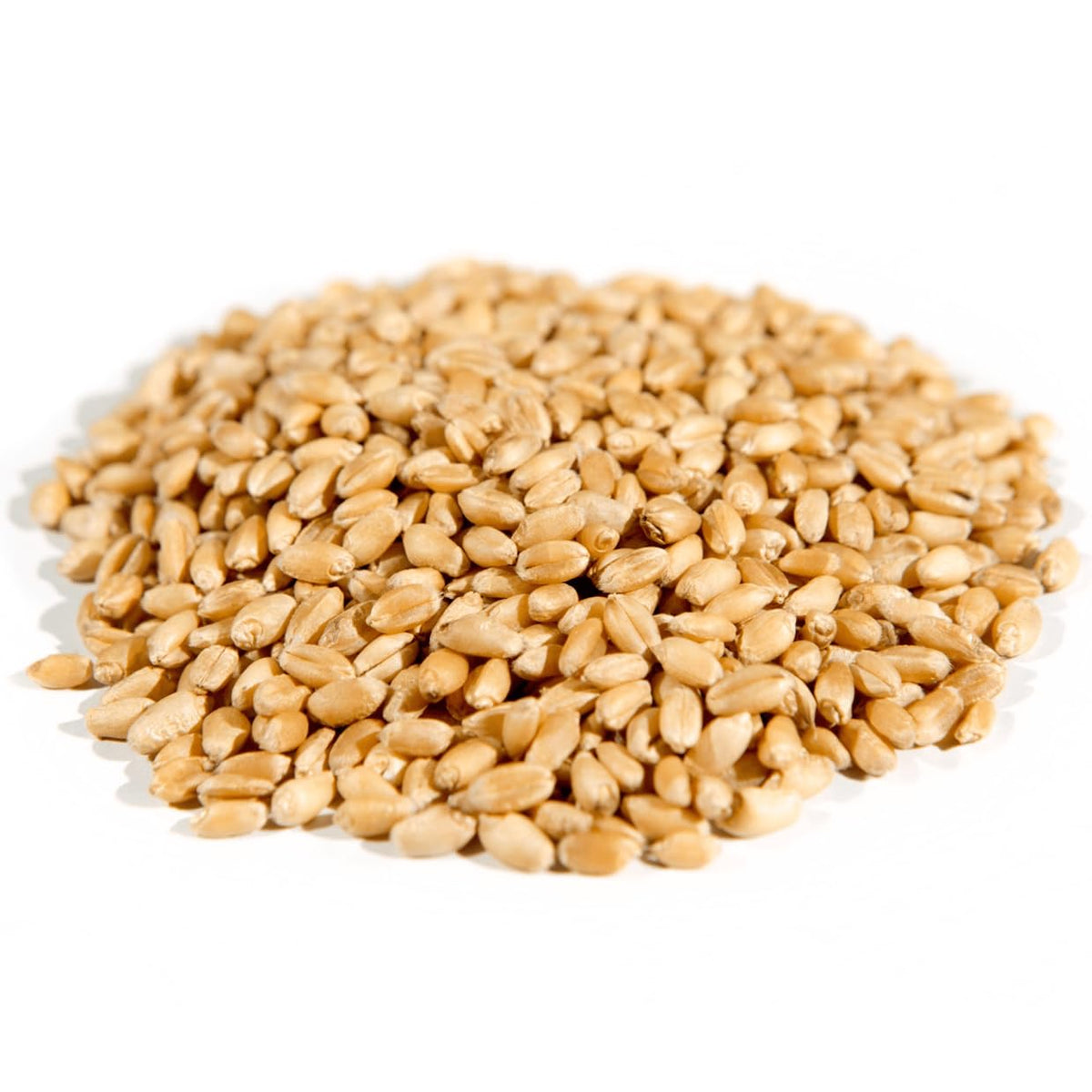 Organic Hard White Wheat Berries, Whole Grain, 25 lb H690589