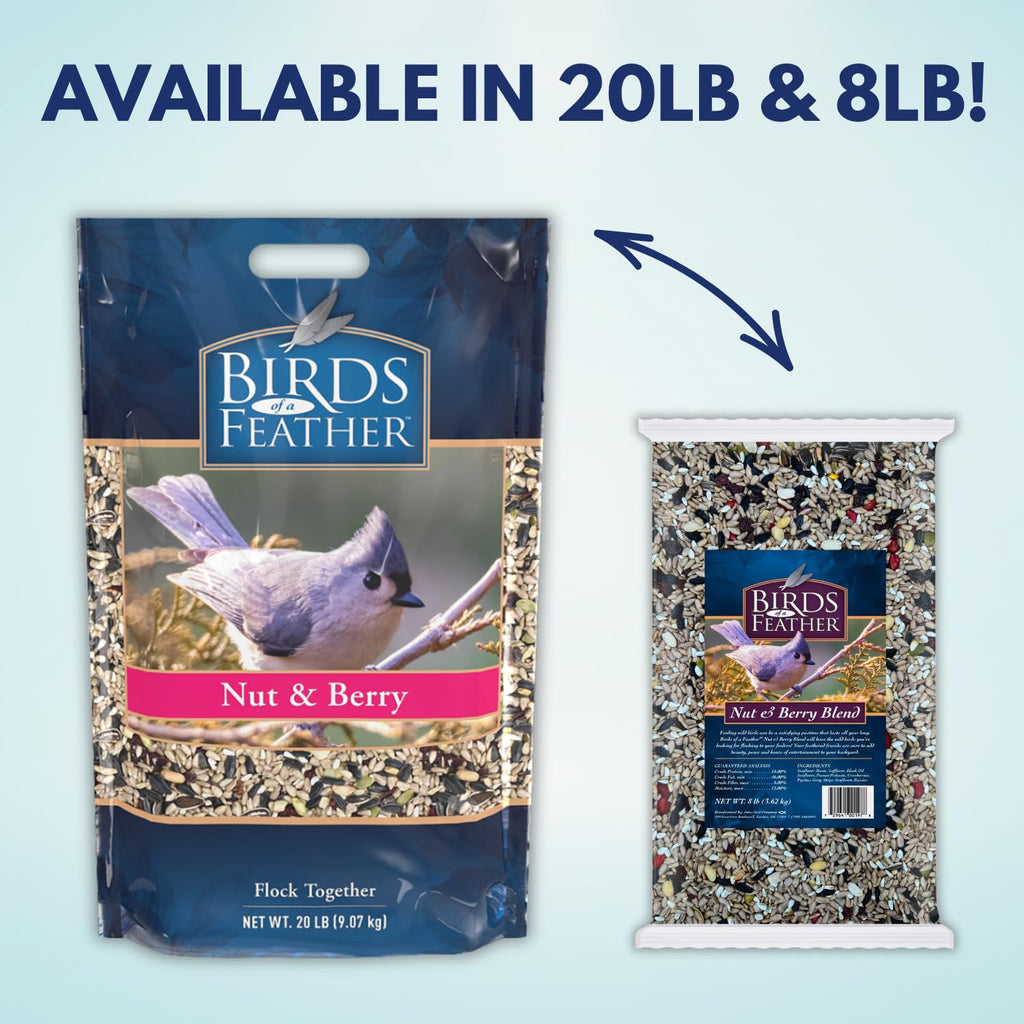 Nut and Berry Bird Seed X279