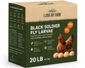 Dried Black Soldier Fly Larvae Chicken Treat X887531
