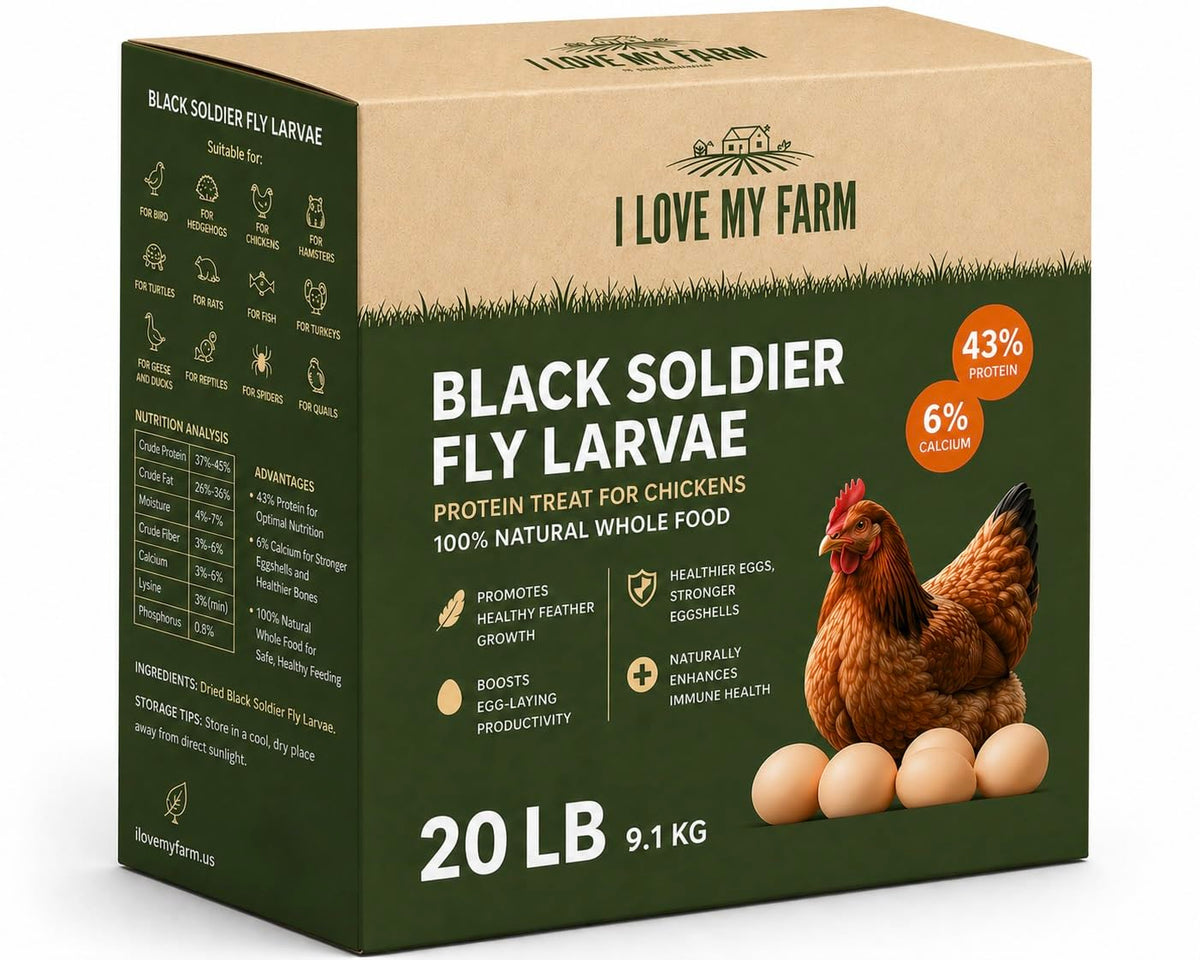 Dried Black Soldier Fly Larvae Chicken Treat X887531