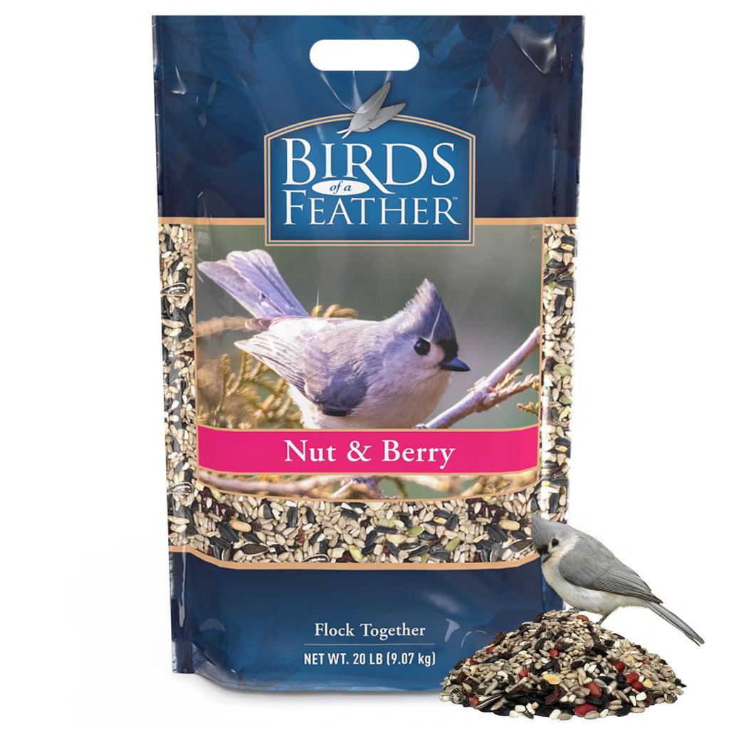 Nut and Berry Bird Seed X279