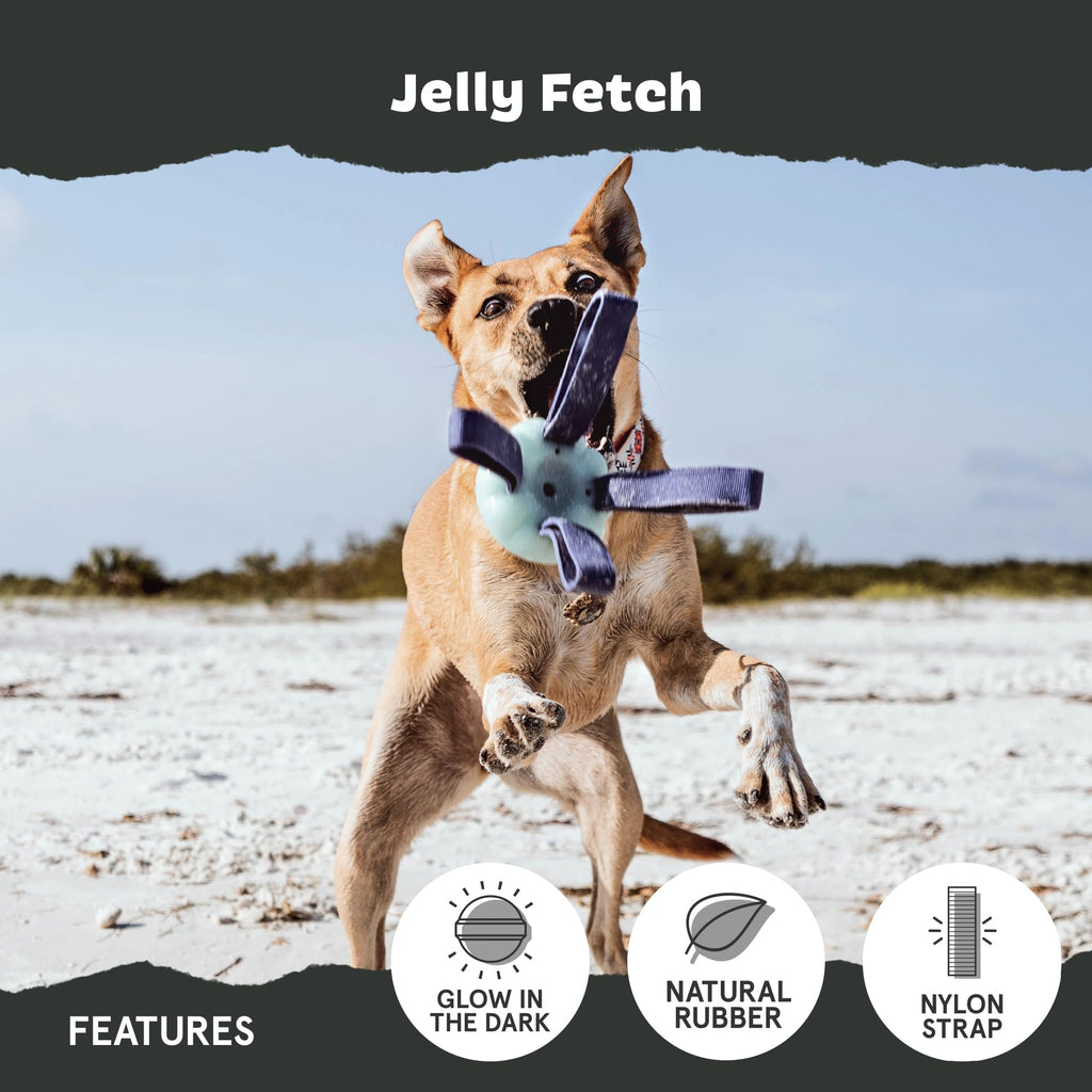 Dog Toy M53375