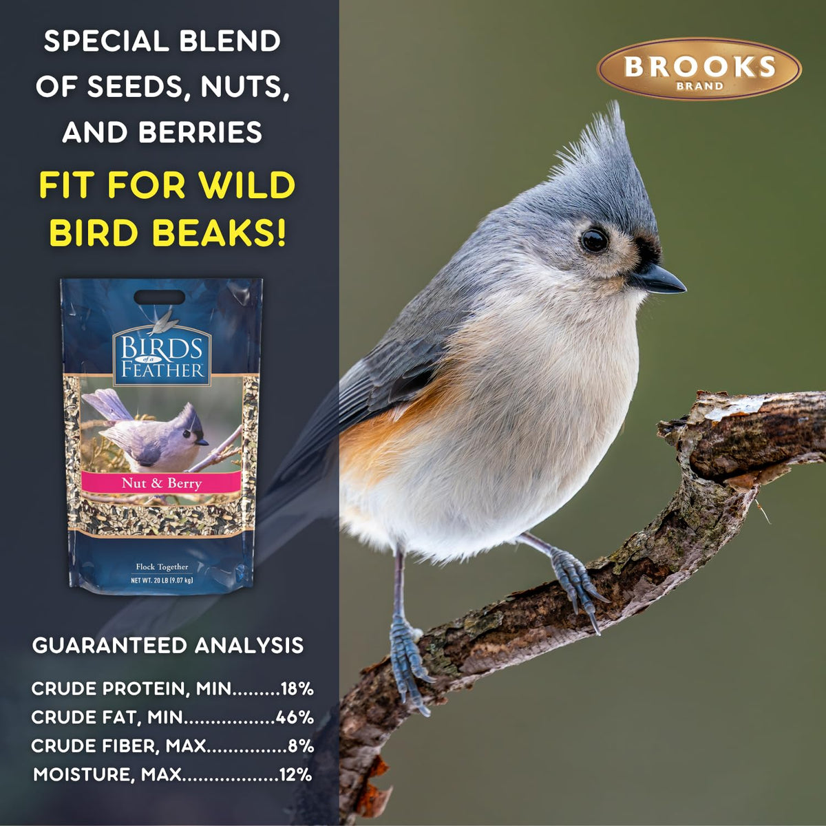 Nut and Berry Bird Seed X279