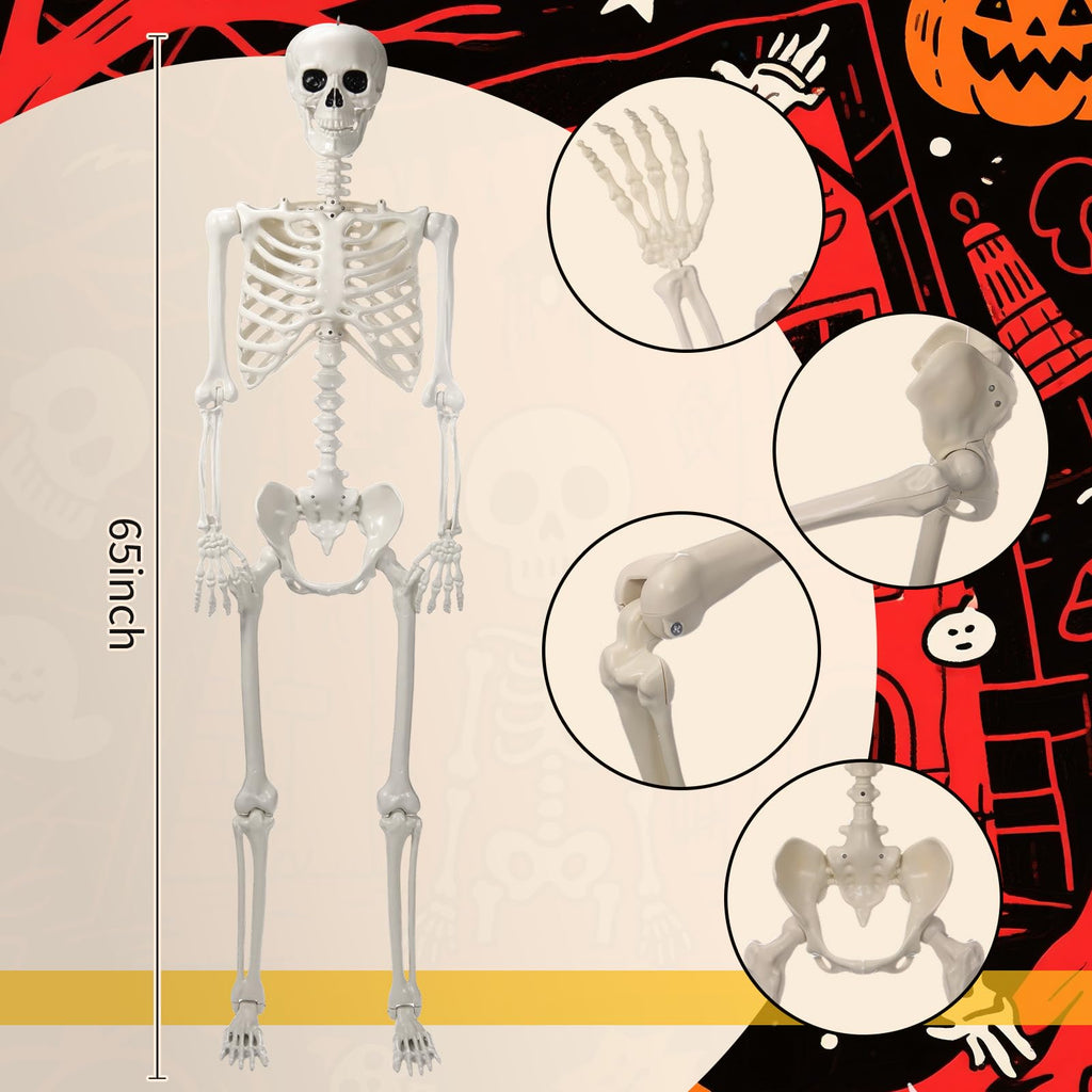 5.4 ft Posable Skeleton with 2 Pack Metal Signs V165985
