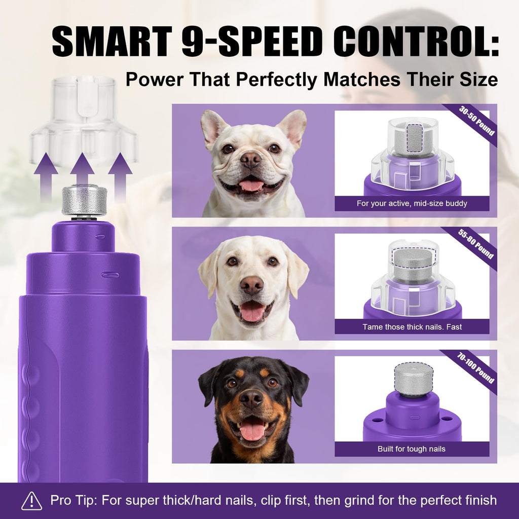 Dog Nail Grinder I648056