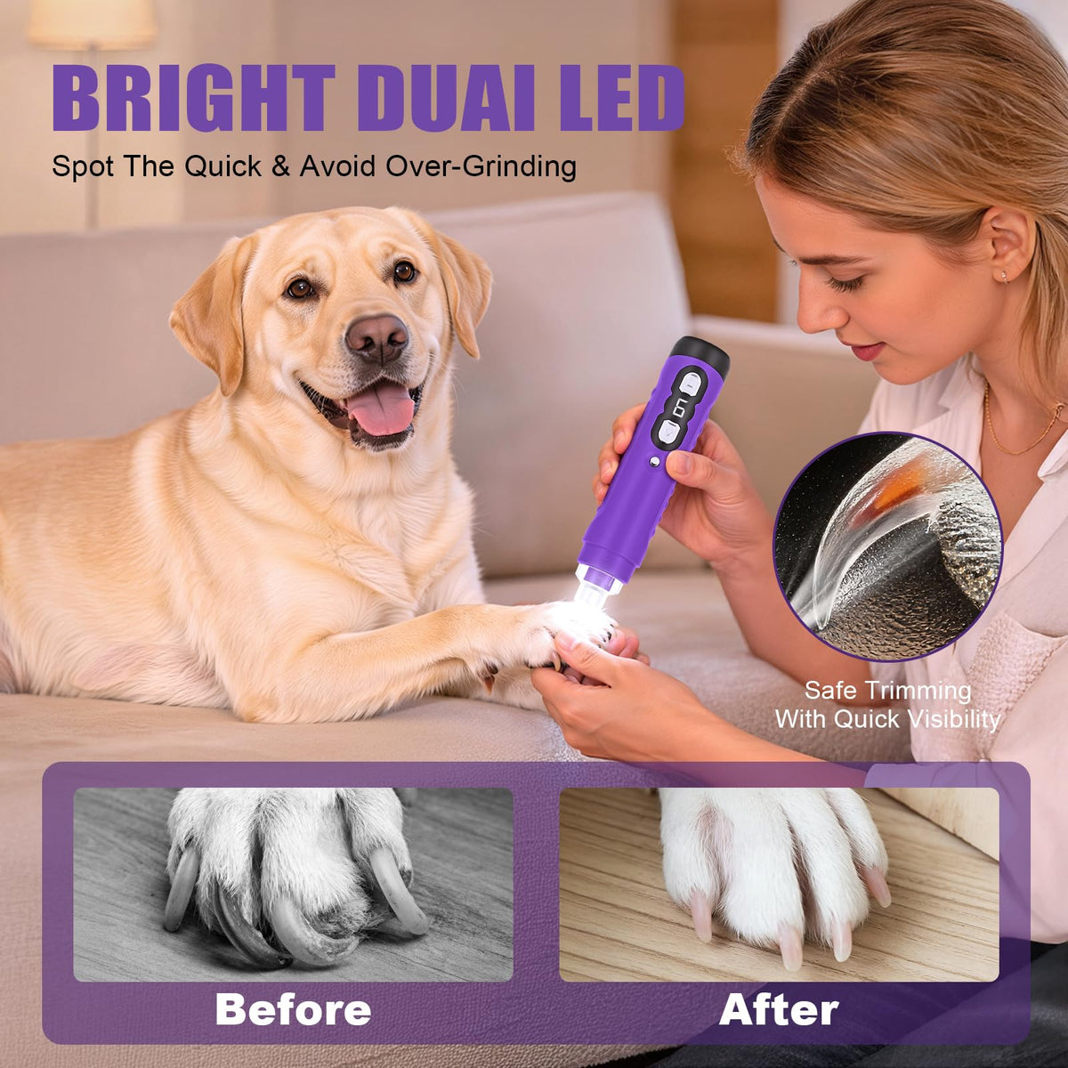 Dog Nail Grinder I648056