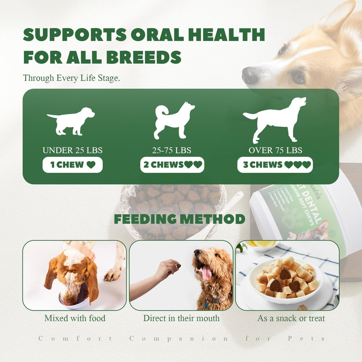 Dog Dental Chews with Natural Enzymes Y8520