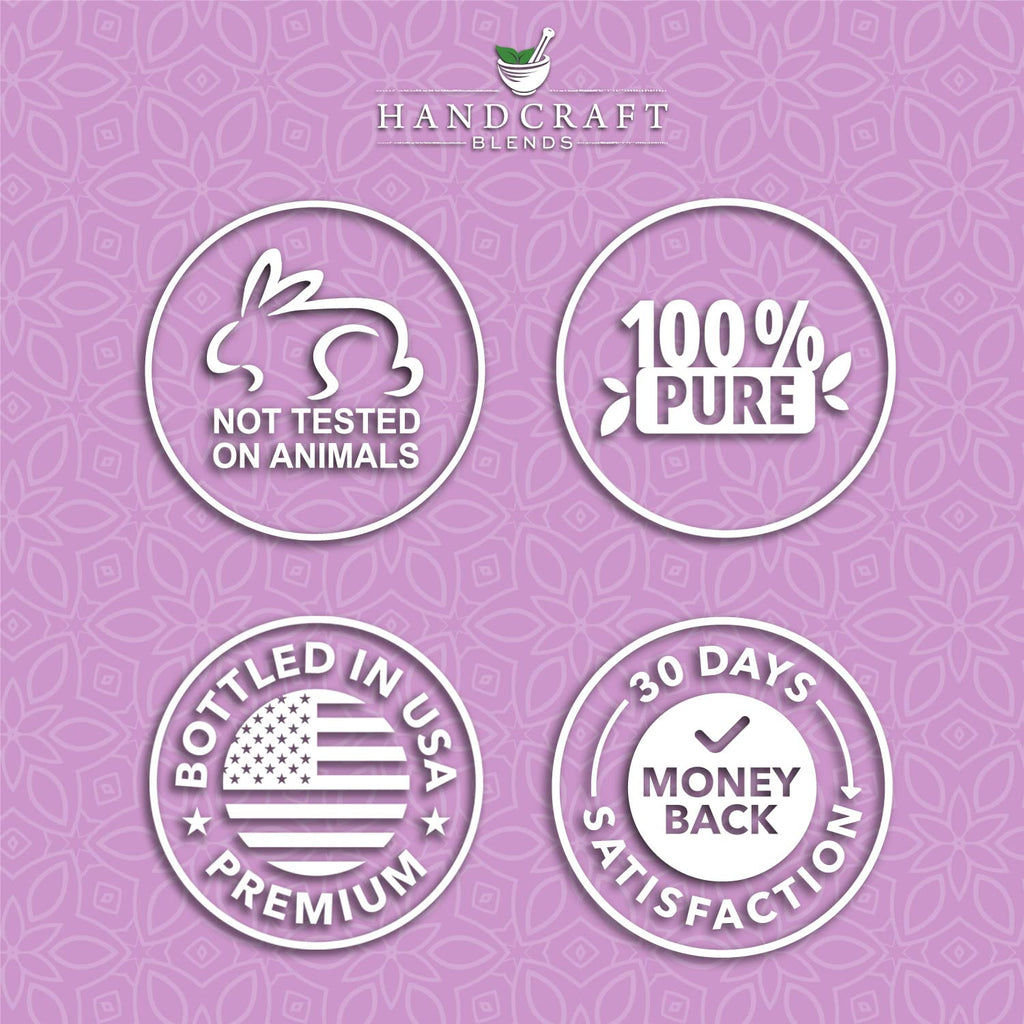 Eucalyptus Tea Tree and Lavender Essential Oil Set 4 Fl. Oz V73338