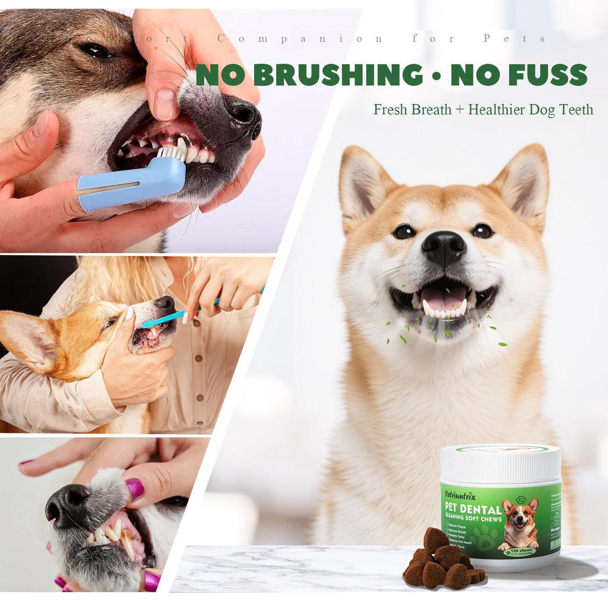 Dog Dental Chews with Natural Enzymes Y8520
