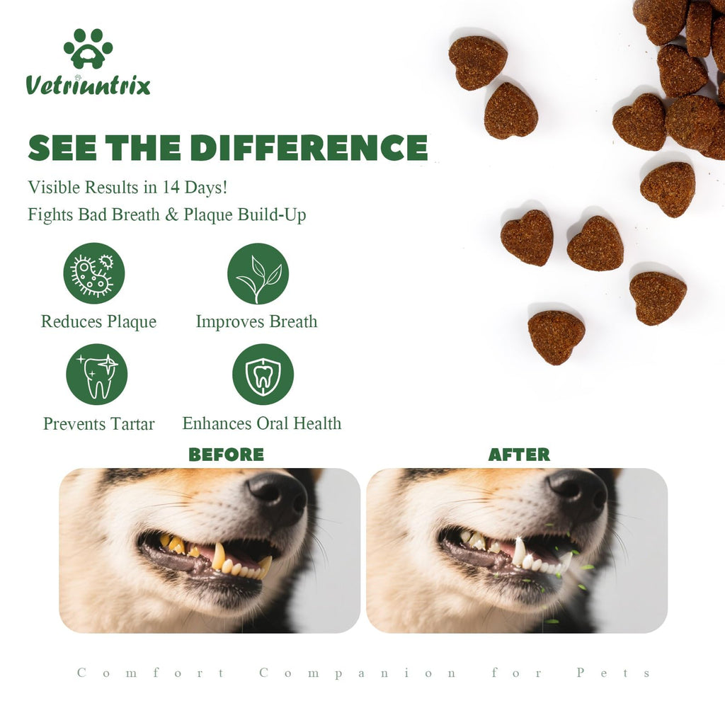 Dog Dental Chews with Natural Enzymes Y8520