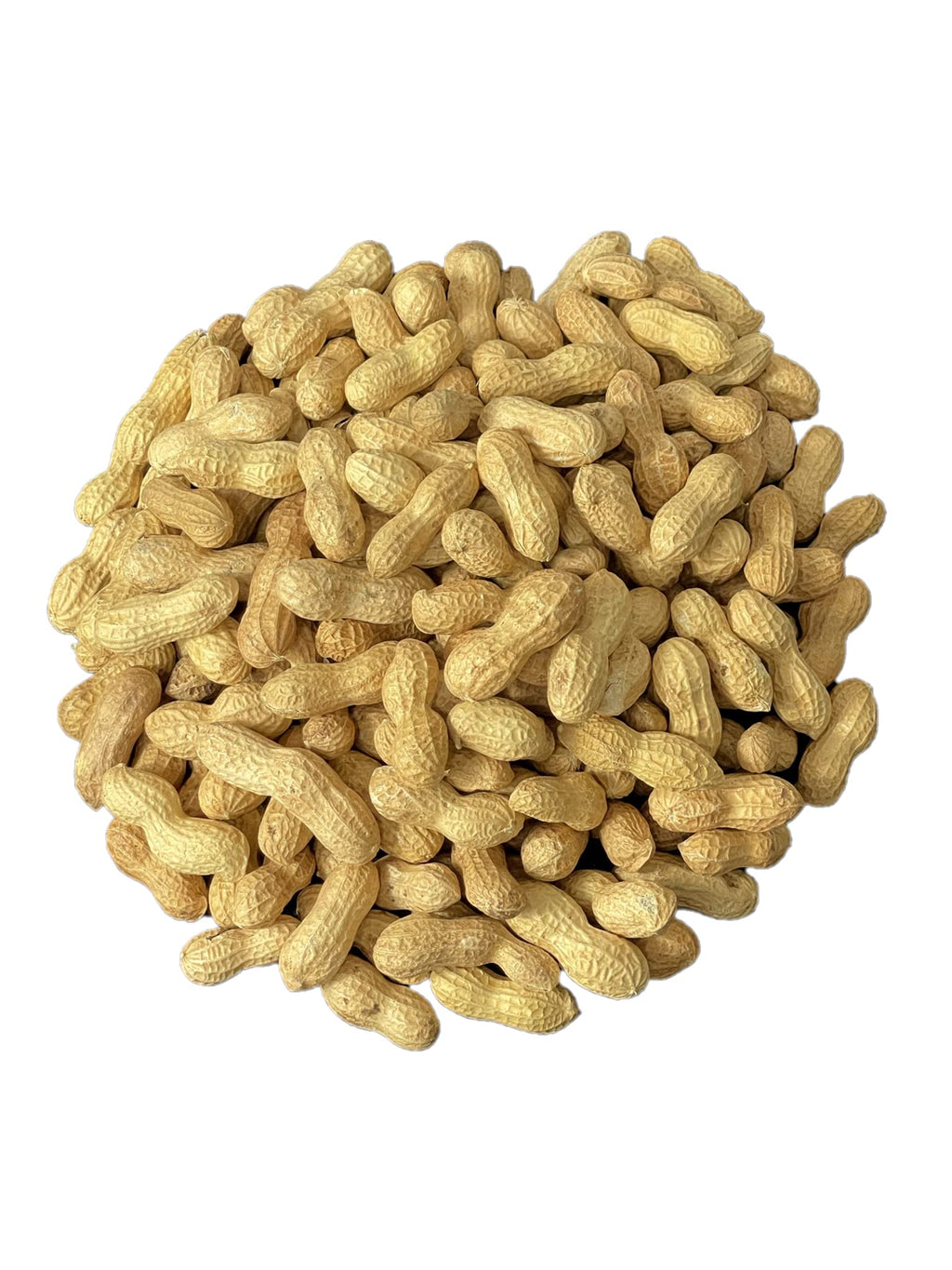 Raw Peanuts in Shell 10LB J4769