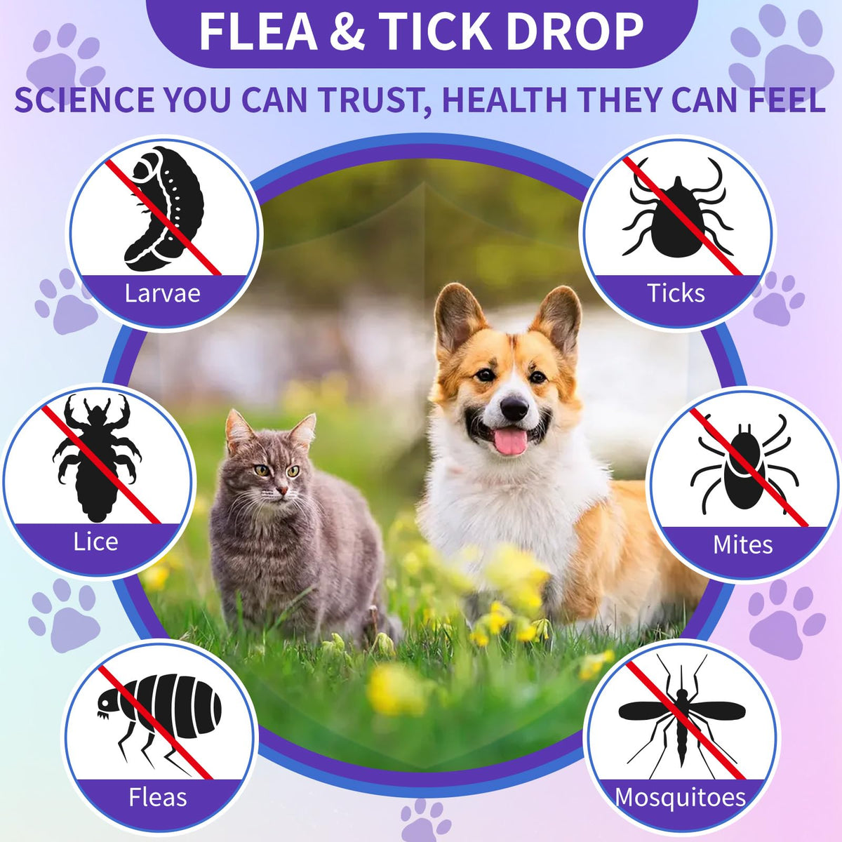 Flea and Tick Support for Dogs and Cats 60ml J10920