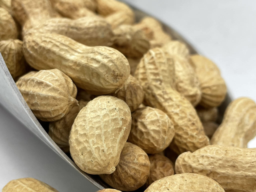 Raw Peanuts in Shell 10LB J4769
