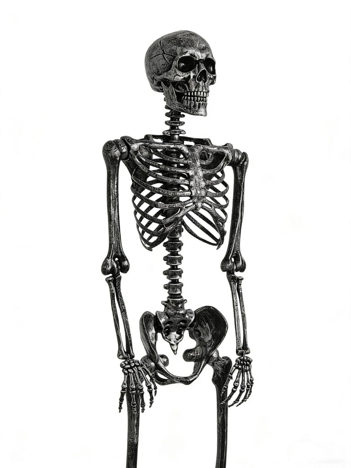 5 FT Posable Black Skeleton Y917