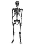 5 FT Posable Black Skeleton Y917
