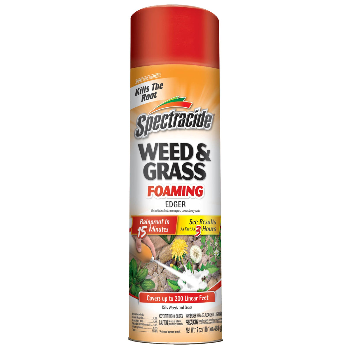 Weed & Grass Foaming Edger Aerosol 17 Oz Z72068