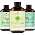 Eucalyptus Tea Tree and Lavender Essential Oil Set 4 Fl. Oz V73338