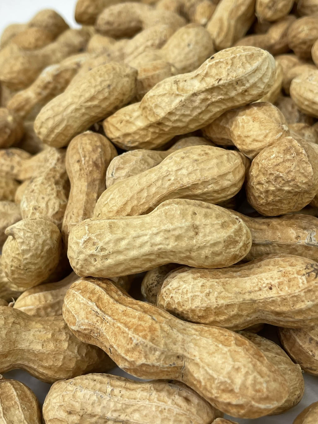 Raw Peanuts in Shell 10LB J4769