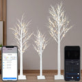Lighted Birch Trees 4FT 5FT 6FT J74902