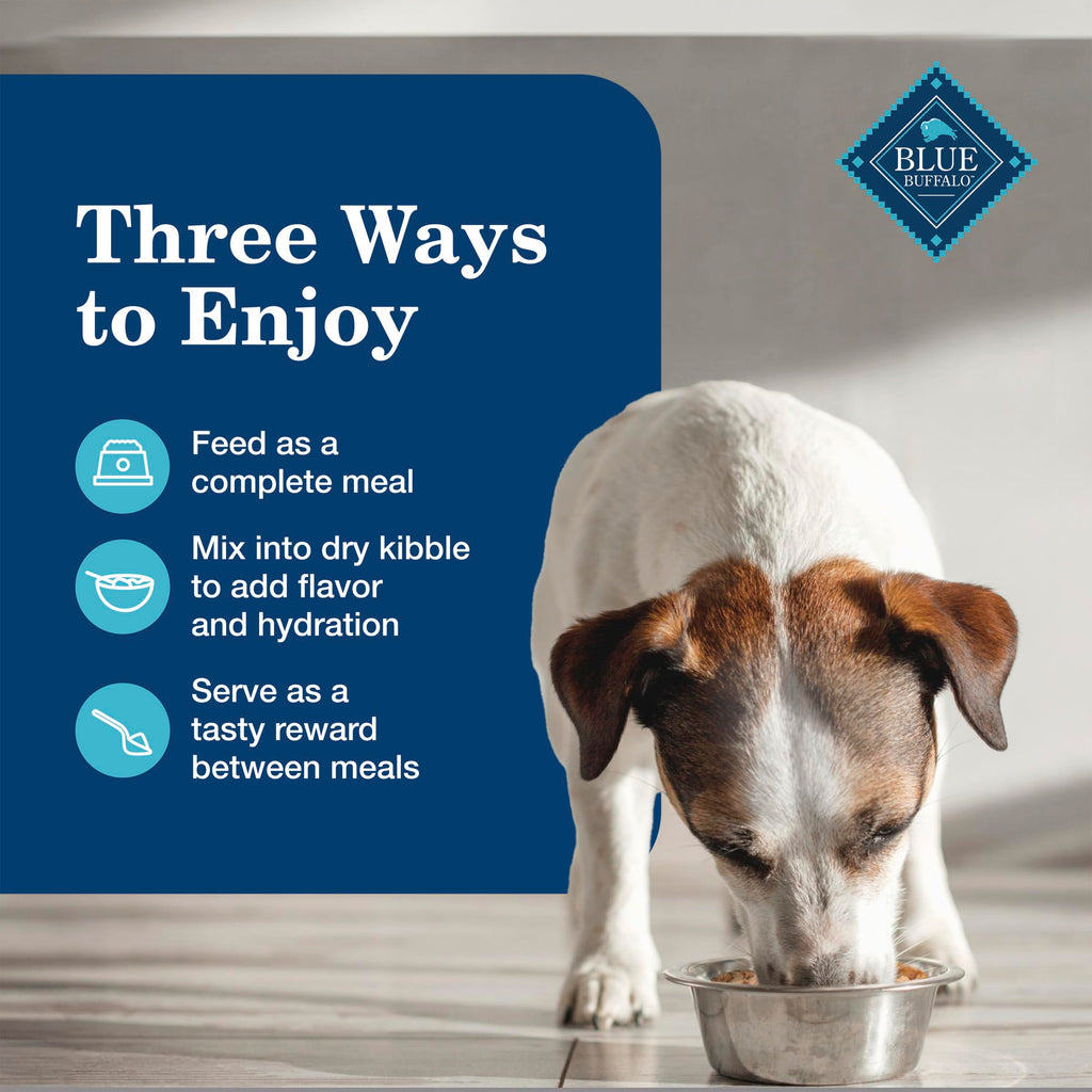 Chicken Senior Wet Dog Food 12.5 oz 12 ct X5612