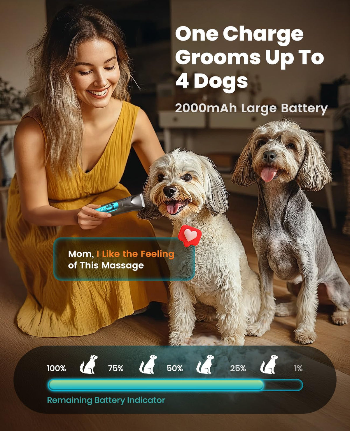 4-in-1 Dog Grooming Kit with LED Light Y8393