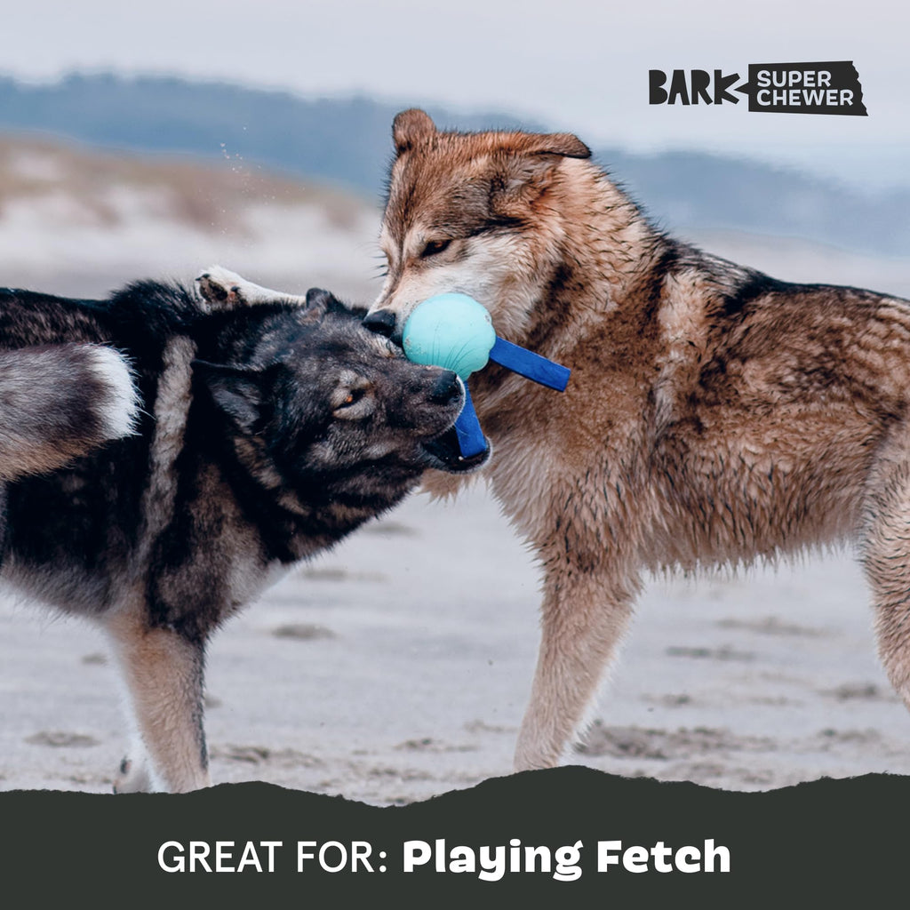 Dog Toy M53375