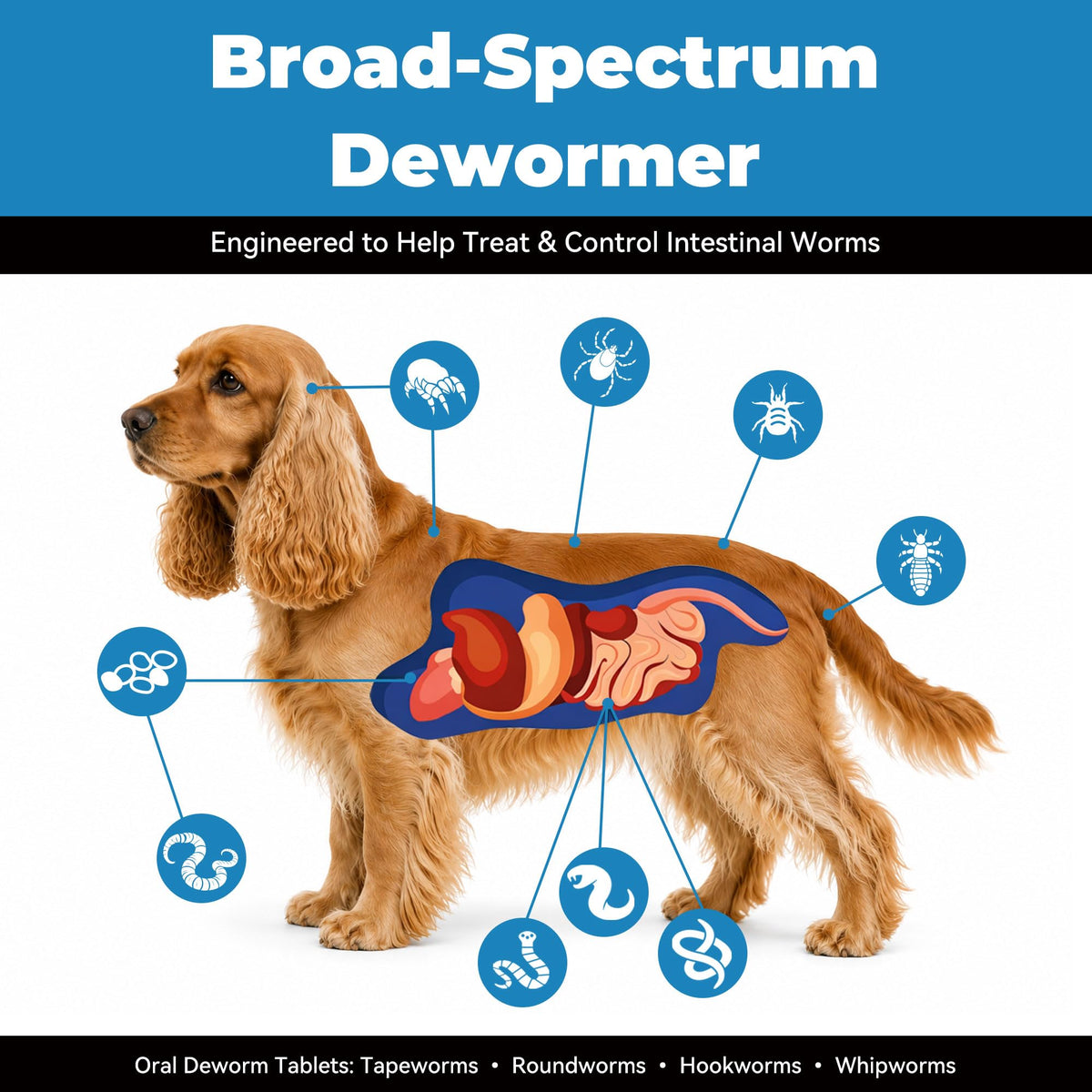 Fenbendazole 222mg Dewormer for Dogs, 30 Tablets B4476