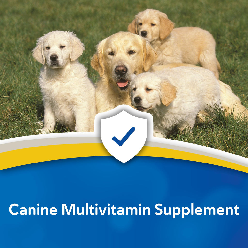 Canine Chewable Multivitamin Tablets 365ct N322