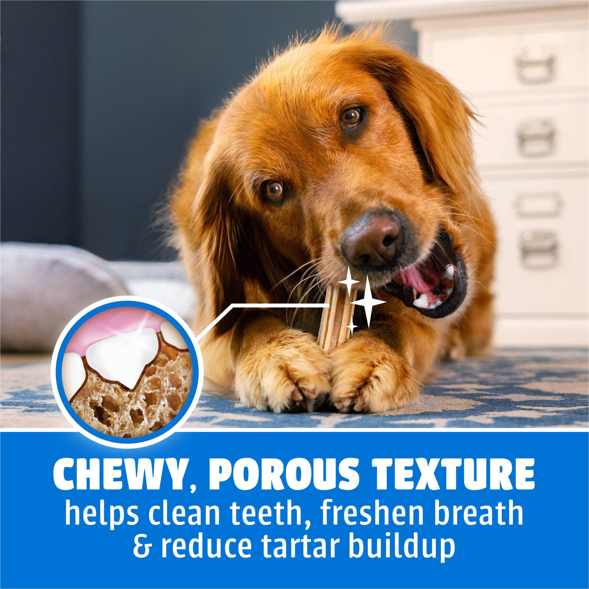 Daily Oral Care Dental Chews for Large Dogs 90 ct C613