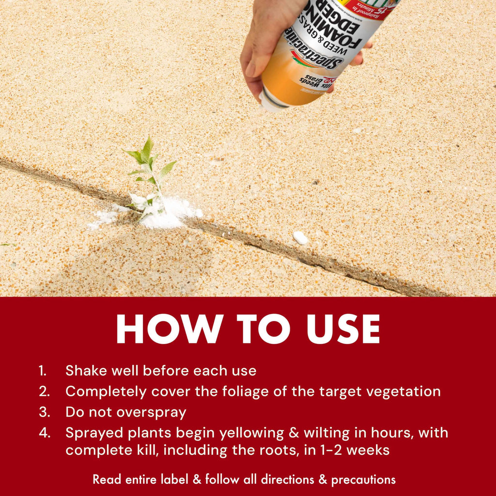 Weed & Grass Foaming Edger Aerosol 17 Oz Z72068