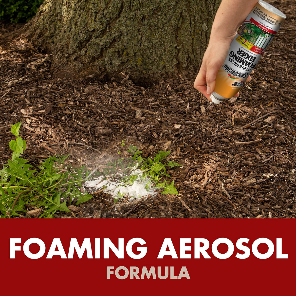 Weed & Grass Foaming Edger Aerosol 17 Oz Z72068